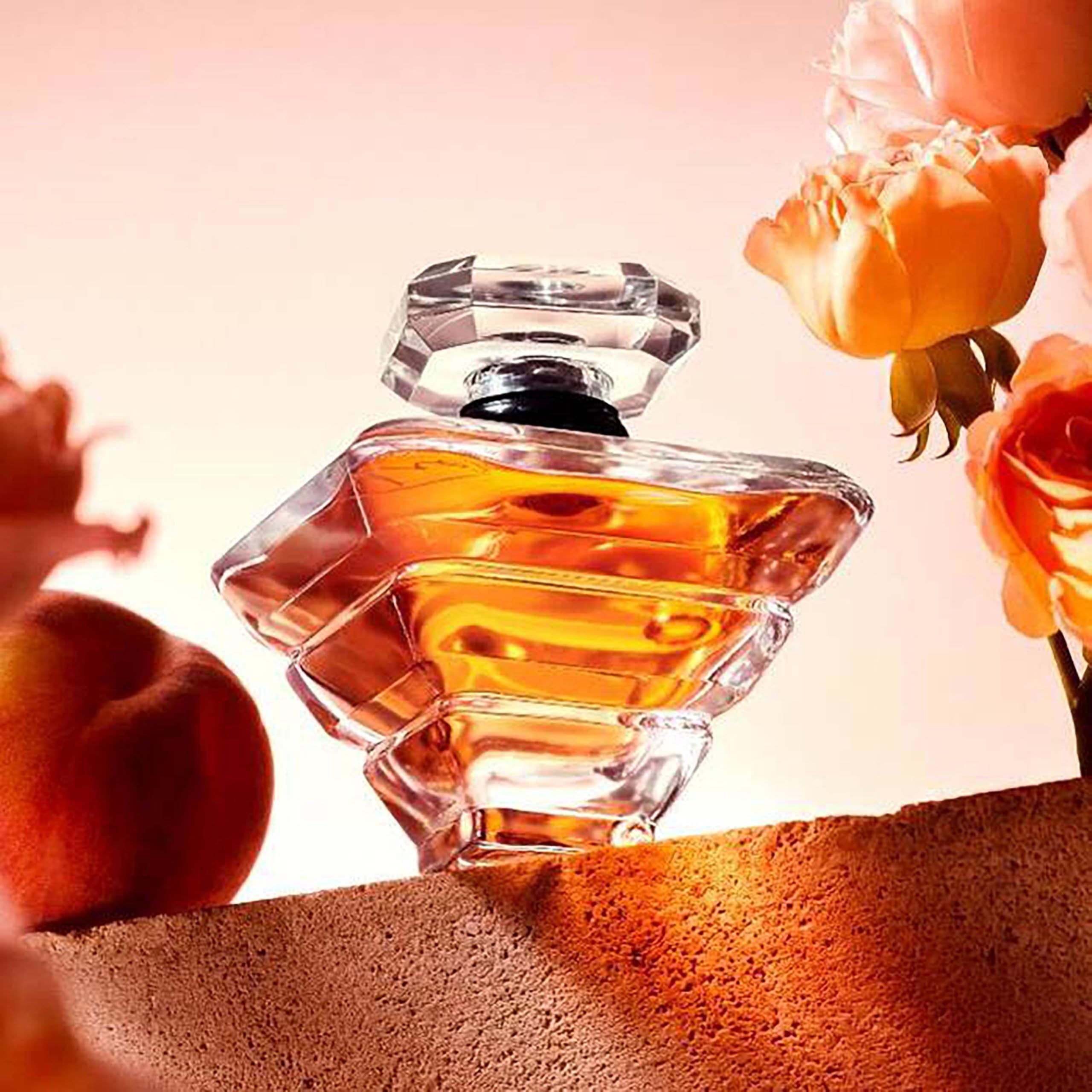 Lancôme LN Tresor EDP 100ML : Amazon.sg: Beauty